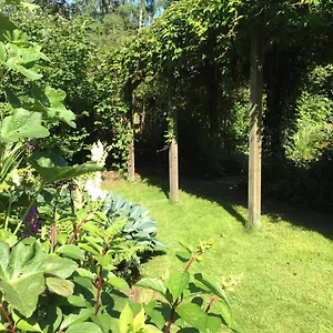 Trustwood Bed & Breakfast